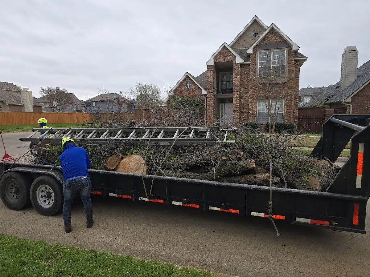 Expert Lot Clearing with proper safety equipment in Hartville